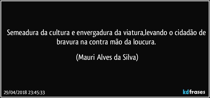 Semeadura da cultura e envergadura da viatura,levando o cidadão de bravura na contra mão da loucura. (Mauri Alves da Silva)