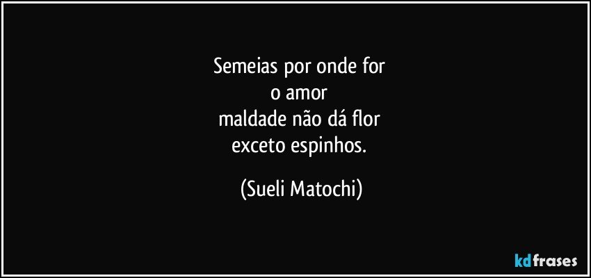 Semeias por onde for 
o amor 
maldade não dá flor 
exceto espinhos. (Sueli Matochi)