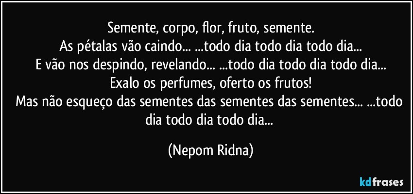 Semente, corpo, flor, fruto, semente.
As pétalas vão caindo... ...todo dia todo dia todo dia...
E vão nos despindo, revelando... ...todo dia todo dia todo dia...
Exalo os perfumes, oferto os frutos!
Mas não esqueço das sementes das sementes das sementes... ...todo dia todo dia todo dia... (Nepom Ridna)