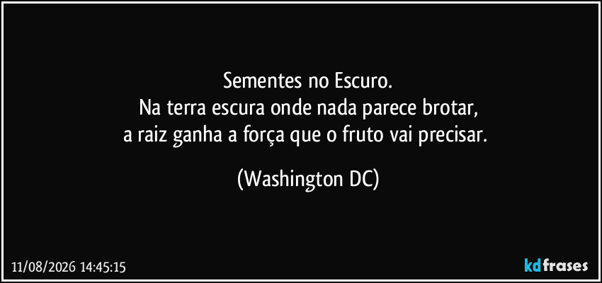 Sementes no Escuro.
Na terra escura onde nada parece brotar,
a raiz ganha a força que o fruto vai precisar. (Washington DC)