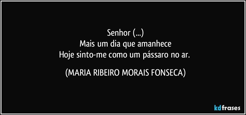 Senhor (...)
Mais um dia que amanhece
Hoje sinto-me como um pássaro no ar. (MARIA RIBEIRO MORAIS FONSECA)