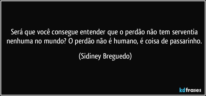 Será que você consegue entender que o perdão não tem serventia nenhuma no mundo? O perdão não é humano, é coisa de passarinho. (Sidiney Breguedo)