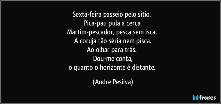 Sexta-feira passeio pelo sítio. 
Pica-pau pula a cerca.
Martim-pescador, pesca sem isca. 
A coruja tão séria nem pisca.
Ao olhar para trás. 
Dou-me conta,
o quanto o horizonte é distante. (Andre Pesilva)