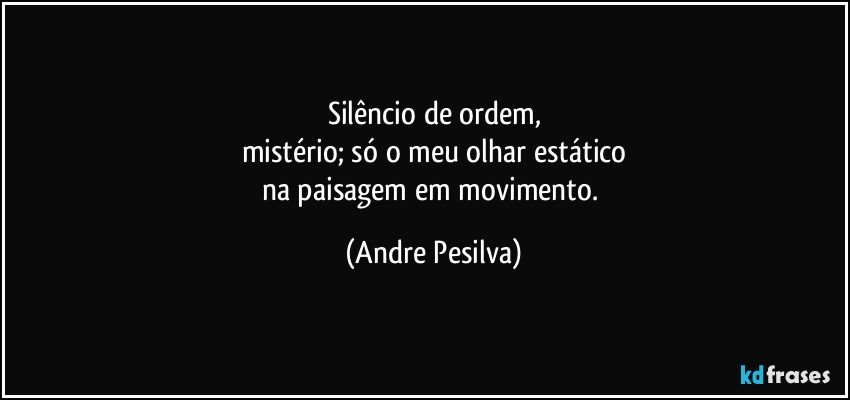 silêncio de ordem,
mistério; só o meu olhar estático
na paisagem em movimento. (Andre Pesilva)