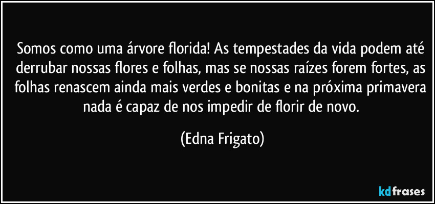 Somos como uma árvore florida! As tempestades da vida podem até derrubar nossas flores e folhas, mas se nossas raízes forem fortes, as folhas renascem ainda mais verdes e bonitas e na próxima primavera nada é capaz de nos impedir de florir de novo. (Edna Frigato)
