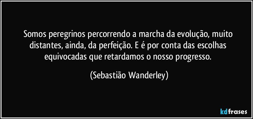 Somos peregrinos percorrendo a marcha da evolução, muito distantes, ainda, da perfeição. E é por conta das escolhas equivocadas que retardamos o nosso progresso. (Sebastião Wanderley)