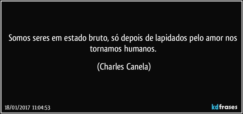 Somos seres em estado bruto, só depois de lapidados pelo amor nos tornamos humanos. (Charles Canela)