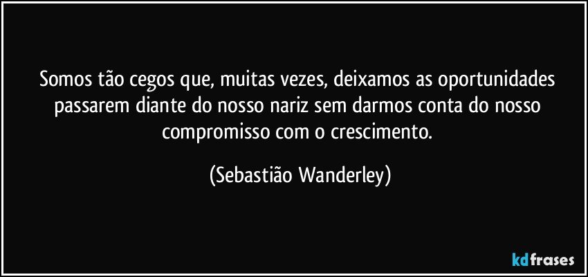 Somos tão cegos que, muitas vezes, deixamos as oportunidades passarem diante do nosso nariz sem darmos conta do nosso compromisso com o crescimento. (Sebastião Wanderley)