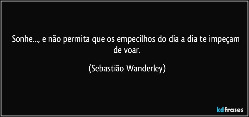 Sonhe..., e não permita que os empecilhos do dia a dia te impeçam de voar. (Sebastião Wanderley)