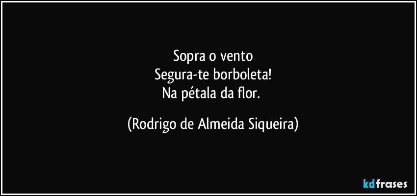 Sopra o vento
Segura-te borboleta!
Na pétala da flor. (Rodrigo de Almeida Siqueira)