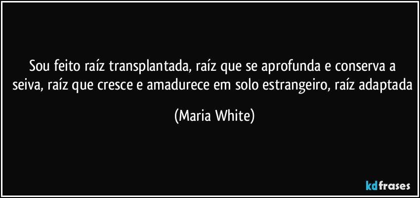 Sou feito raíz transplantada, raíz que se aprofunda e conserva a seiva, raíz que cresce e amadurece em solo estrangeiro, raíz adaptada (Maria White)