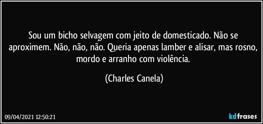 Sou um bicho selvagem com jeito de domesticado. Não se aproximem. Não, não, não. Queria apenas lamber e alisar, mas rosno, mordo e arranho com violência. (Charles Canela)