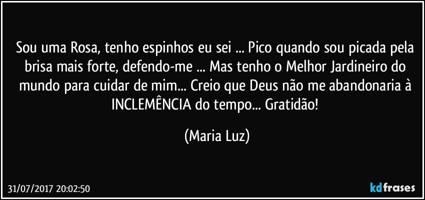 Sou uma Rosa, tenho espinhos eu sei ... Pico quando sou picada pela brisa mais forte, defendo-me ... Mas tenho o Melhor Jardineiro do mundo para cuidar de mim... Creio que Deus não me abandonaria à INCLEMÊNCIA do tempo... Gratidão! (Maria Luz)