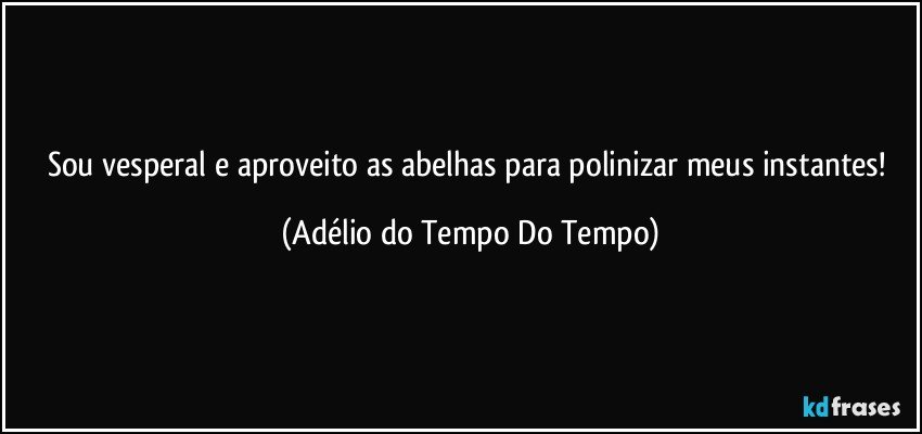 Sou vesperal e aproveito as abelhas para polinizar meus instantes! (Adélio do Tempo Do Tempo)