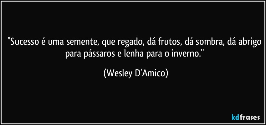 "Sucesso é uma semente, que regado, dá frutos, dá sombra, dá abrigo para pássaros e lenha para o inverno." (Wesley D'Amico)