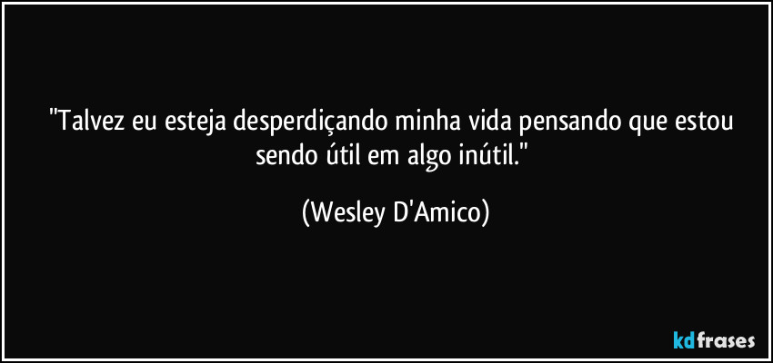 "Talvez eu esteja desperdiçando minha vida pensando que estou sendo útil em algo inútil." (Wesley D'Amico)
