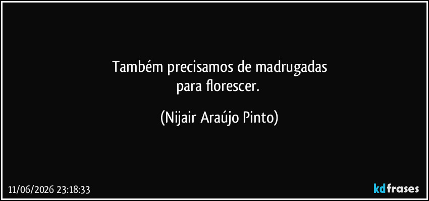 Também precisamos de madrugadas
para florescer. (Nijair Araújo Pinto)