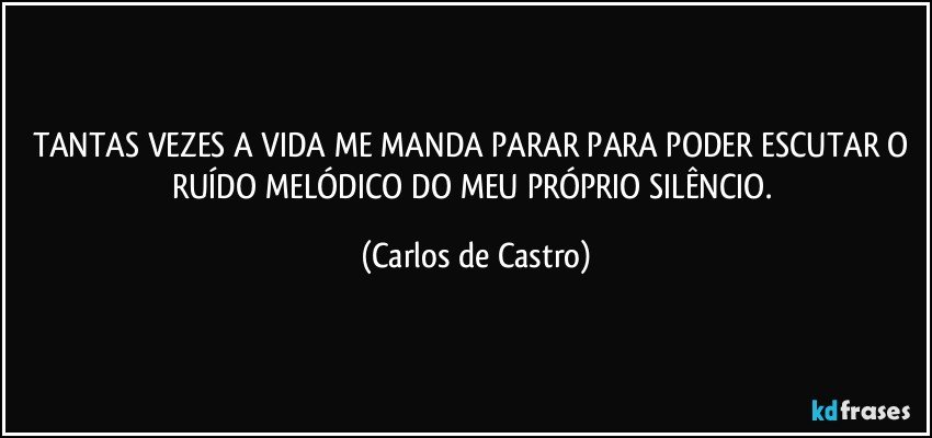 TANTAS VEZES A VIDA ME MANDA PARAR PARA PODER ESCUTAR O RUÍDO MELÓDICO DO MEU PRÓPRIO SILÊNCIO. (Carlos de Castro)