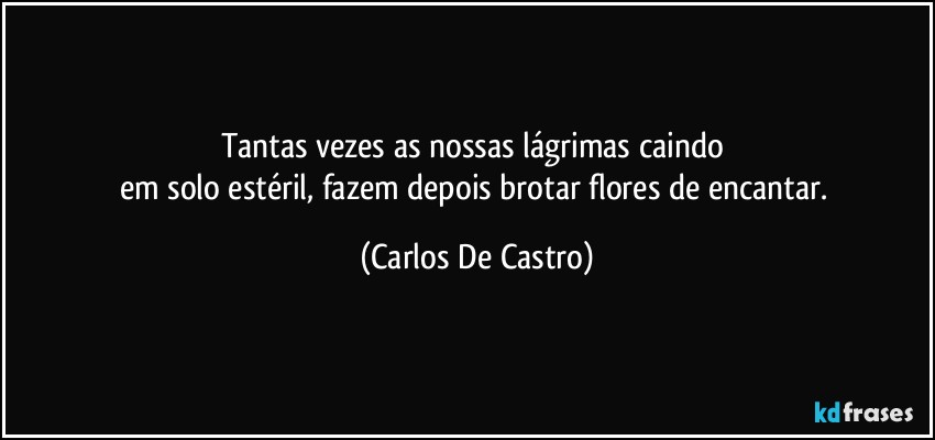 Tantas vezes as nossas lágrimas caindo 
em solo estéril, fazem depois brotar flores de encantar. (Carlos De Castro)