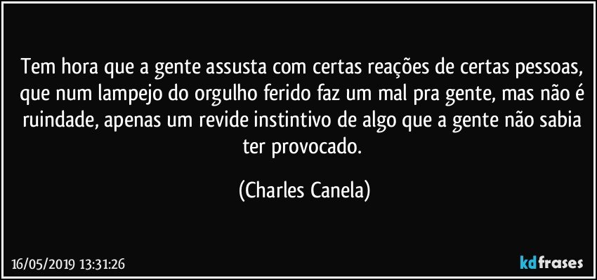 Tem hora que a gente assusta com certas reações de certas pessoas, que num lampejo do orgulho ferido faz um mal pra gente, mas não é ruindade, apenas um revide instintivo de algo que a gente não sabia ter provocado. (Charles Canela)