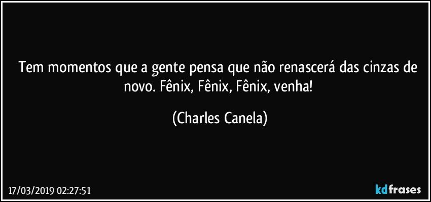 Tem momentos que a gente pensa que não renascerá das cinzas de novo. Fênix, Fênix, Fênix, venha! (Charles Canela)