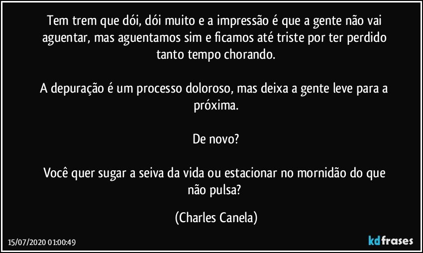 Tem trem que dói, dói muito e a impressão é que a gente não vai aguentar, mas aguentamos sim e ficamos até triste por ter perdido tanto tempo chorando.

A depuração é um processo doloroso, mas deixa a gente leve para a próxima.

De novo?

Você quer sugar a seiva da vida ou estacionar no mornidão do que não pulsa? (Charles Canela)