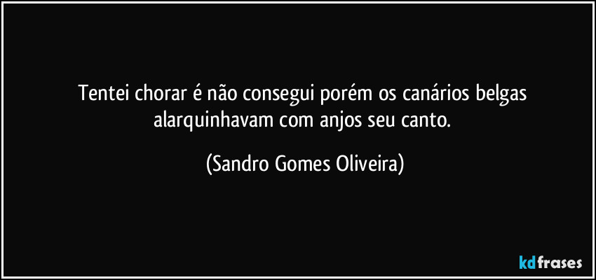 Tentei chorar é não consegui porém os canários belgas alarquinhavam com anjos seu canto. (Sandro Gomes Oliveira)