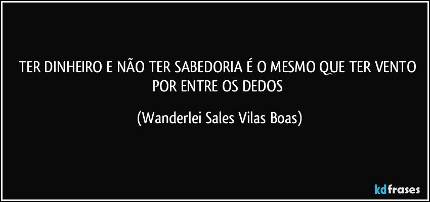 TER DINHEIRO E NÃO TER SABEDORIA É O MESMO QUE TER VENTO POR ENTRE OS DEDOS (Wanderlei Sales Vilas Boas)