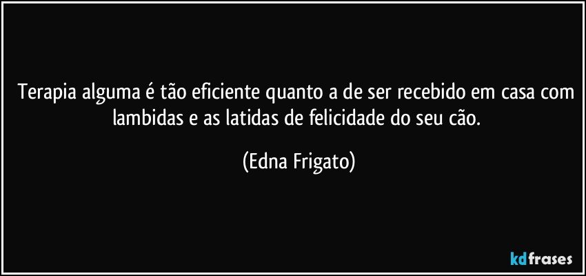 Terapia alguma é tão eficiente quanto a de ser recebido em casa com lambidas e as latidas de felicidade do seu cão. (Edna Frigato)