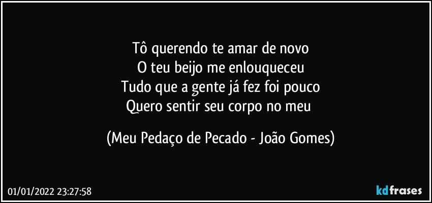 Tô querendo te amar de novo
O teu beijo me enlouqueceu
Tudo que a gente já fez foi pouco
Quero sentir seu corpo no meu (Meu Pedaço de Pecado - João Gomes)