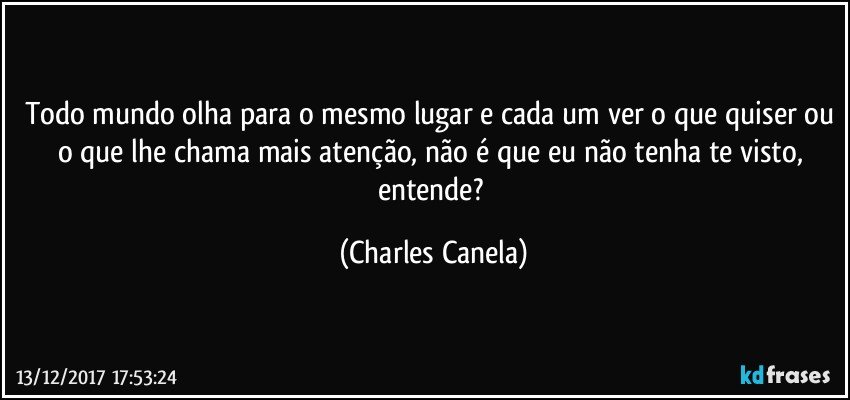 Todo mundo olha para o mesmo lugar e cada um ver o que quiser ou o que lhe chama mais atenção, não é que eu não tenha te visto, entende? (Charles Canela)