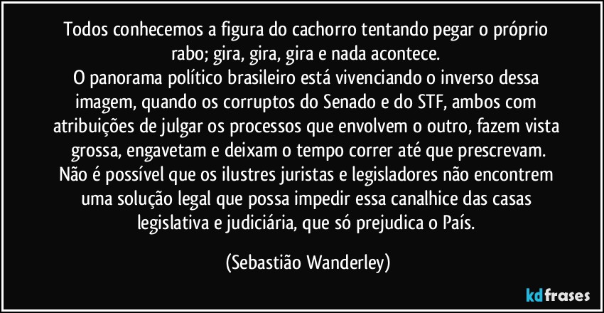 Todos conhecemos a figura do cachorro tentando pegar o próprio rabo; gira, gira, gira e nada acontece. 
O panorama político brasileiro está vivenciando o inverso dessa imagem, quando os corruptos do Senado e do STF, ambos com atribuições de julgar os processos que envolvem o outro, fazem vista grossa, engavetam e deixam o tempo correr até que prescrevam.
Não é possível que os ilustres juristas e legisladores não encontrem uma solução legal que possa impedir essa canalhice das casas legislativa e judiciária, que só prejudica o País. (Sebastião Wanderley)