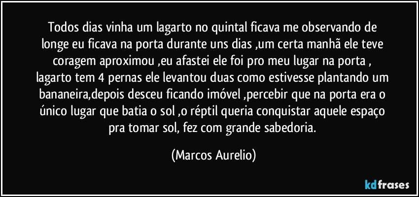 Todos dias vinha um lagarto no quintal ficava me observando de longe eu ficava na porta durante uns  dias ,um certa manhã  ele teve coragem aproximou ,eu afastei ele foi pro meu lugar na porta , lagarto tem 4 pernas ele levantou duas como estivesse plantando um bananeira,depois desceu ficando imóvel ,percebir que na porta era o único lugar que batia o sol ,o réptil queria conquistar aquele espaço pra tomar sol, fez com grande sabedoria. (Marcos Aurelio)