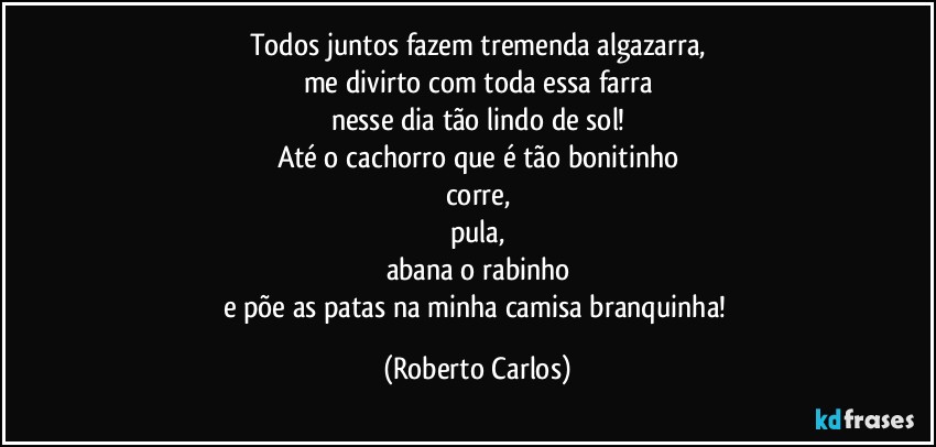 Todos juntos fazem tremenda algazarra,
me divirto com toda essa farra
nesse dia tão lindo de sol!
Até o cachorro que é tão bonitinho
corre,
pula,
abana o rabinho
e põe as patas na minha camisa branquinha! (Roberto Carlos)