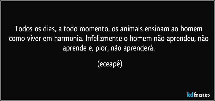 Todos os dias, a todo momento, os animais ensinam ao homem como viver em  harmonia. Infelizmente o homem não aprendeu, não aprende e, pior,  não aprenderá. (eceapê)
