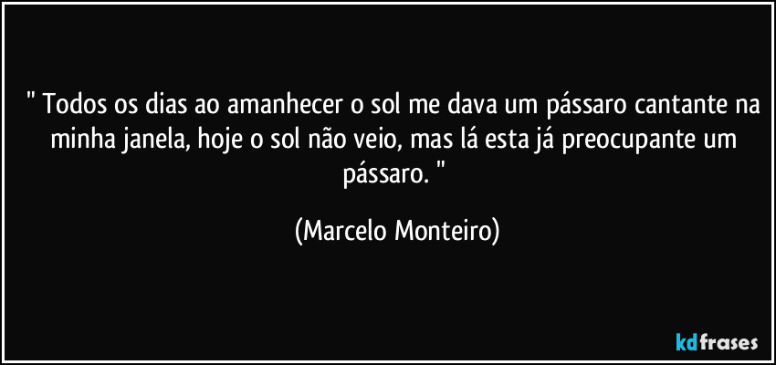 " Todos os dias ao amanhecer o sol me dava um pássaro cantante na minha janela, hoje o sol não veio, mas lá esta já preocupante um pássaro. " (Marcelo Monteiro)