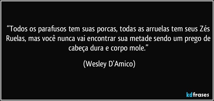 “Todos os parafusos tem suas porcas, todas as arruelas tem seus Zés Ruelas, mas você nunca vai encontrar sua metade sendo um prego de cabeça dura e corpo mole.” (Wesley D'Amico)