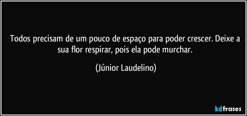 Todos precisam de um pouco de espaço para poder crescer. Deixe a sua flor respirar, pois ela pode murchar. (Júnior Laudelino)