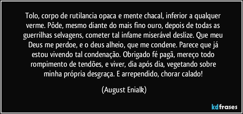 Tolo, corpo de rutilancia opaca e mente chacal, inferior a qualquer verme. Pôde, mesmo diante do mais fino ouro, depois de todas as guerrilhas selvagens, cometer tal infame miserável deslize. Que meu Deus me perdoe, e o deus alheio, que me condene. Parece que já estou vivendo tal condenação. Obrigado fé pagã, mereço todo rompimento de tendões, e viver, dia após dia, vegetando sobre minha própria desgraça. E arrependido, chorar calado! (August Enialk)