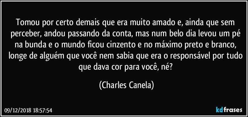 Tomou por certo demais que era muito amado e, ainda que sem perceber, andou passando da conta, mas num belo dia levou um pé na bunda e o mundo ficou cinzento e no máximo preto e branco, longe de alguém que você nem sabia que era o responsável por tudo que dava cor para você, né? (Charles Canela)