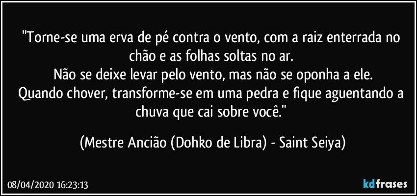 "Torne-se uma erva de pé contra o vento, com a raiz enterrada no chão e as folhas soltas no ar. 
Não se deixe levar pelo vento, mas não se oponha a ele.
Quando chover, transforme-se em uma pedra e fique aguentando a chuva que cai sobre você." (Mestre Ancião (Dohko de Libra) - Saint Seiya)