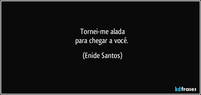 Tornei-me alada
para chegar a você. (Enide Santos)