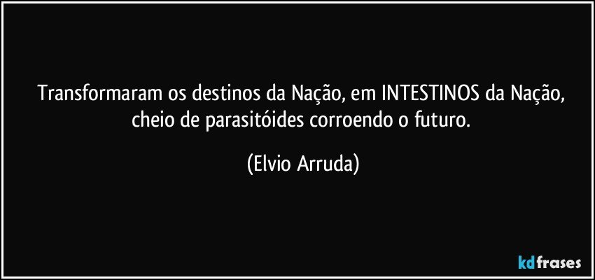 Transformaram os destinos da Nação, em INTESTINOS da Nação, cheio de parasitóides corroendo o futuro. (Elvio Arruda)