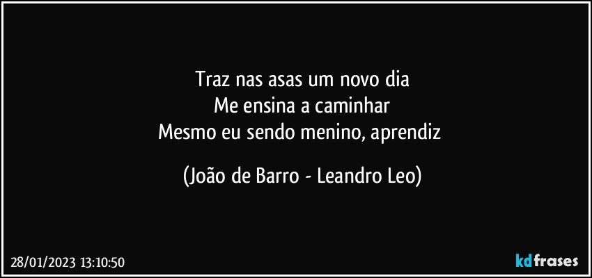 Traz nas asas um novo dia
Me ensina a caminhar
Mesmo eu sendo menino, aprendiz (João de Barro - Leandro Leo)