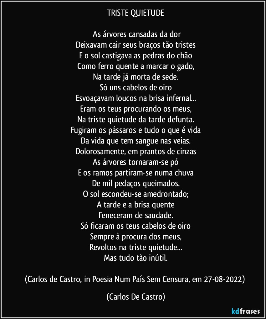 TRISTE QUIETUDE

⁠As árvores cansadas da dor
Deixavam cair seus braços tão tristes
E o sol castigava as pedras do chão
Como ferro quente a marcar o gado,
Na tarde já morta de sede.
Só uns cabelos de oiro
Esvoaçavam loucos na brisa infernal...
Eram os teus procurando os meus,
Na triste quietude da tarde defunta.
Fugiram os pássaros e tudo o que é vida
Da vida que tem sangue nas veias.
Dolorosamente, em prantos de cinzas
As árvores tornaram-se pó
E os ramos partiram-se numa chuva
De mil pedaços queimados.
O sol escondeu-se amedrontado;
A tarde e a brisa quente
Feneceram de saudade.
Só ficaram os teus cabelos de oiro
Sempre à procura dos meus,
Revoltos na triste quietude...
Mas tudo tão inútil.

(Carlos de Castro, in Poesia Num País Sem Censura, em 27-08-2022) (Carlos De Castro)