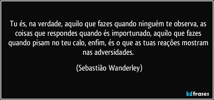 Tu és, na verdade, aquilo que fazes quando ninguém te observa, as coisas que respondes quando és importunado, aquilo que fazes quando pisam no teu calo, enfim, és o que as tuas reações mostram nas adversidades. (Sebastião Wanderley)