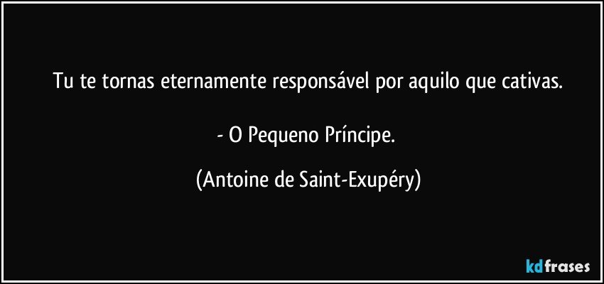 Tu te tornas eternamente responsável por aquilo que cativas.

- O Pequeno Príncipe. (Antoine de Saint-Exupéry)