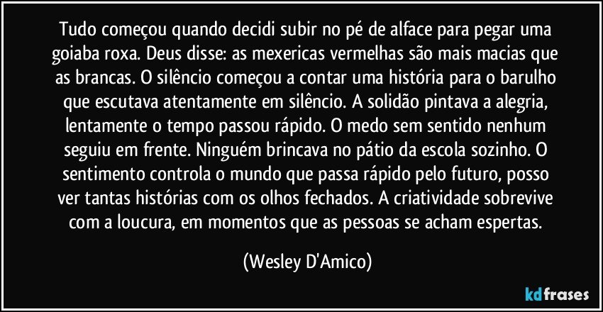Tudo começou quando decidi subir no pé de alface para pegar uma goiaba roxa. Deus disse: as mexericas vermelhas são mais macias que as brancas. O silêncio começou a contar uma história para o barulho que escutava atentamente em silêncio. A solidão pintava a alegria, lentamente o tempo passou rápido. O medo sem sentido nenhum seguiu em frente. Ninguém brincava no pátio da escola sozinho. O sentimento controla o mundo que passa rápido pelo futuro, posso ver tantas histórias com os olhos fechados. A criatividade sobrevive com a loucura, em momentos que as pessoas se acham espertas. (Wesley D'Amico)