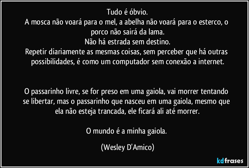 Tudo é óbvio.
A mosca não voará para o mel, a abelha não voará para o esterco, o porco não sairá da lama.
Não há estrada sem destino.
Repetir diariamente as mesmas coisas, sem perceber que há outras possibilidades, é como um computador sem conexão a internet.


O passarinho livre, se for preso em uma gaiola, vai morrer tentando se libertar, mas o passarinho que nasceu em uma gaiola, mesmo que ela não esteja trancada, ele ficará ali até morrer.

O mundo é a minha gaiola. (Wesley D'Amico)