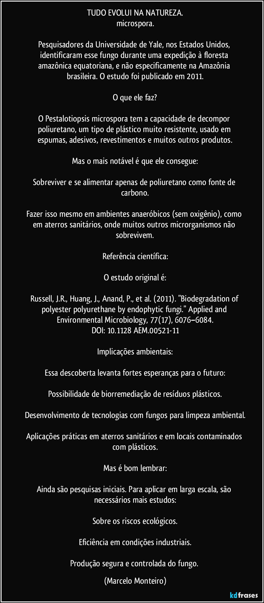 TUDO EVOLUI NA NATUREZA.
microspora.
Pesquisadores da Universidade de Yale, nos Estados Unidos, identificaram esse fungo durante uma expedição à floresta amazônica equatoriana, e não especificamente na Amazônia brasileira. O estudo foi publicado em 2011.
O que ele faz?
O Pestalotiopsis microspora tem a capacidade de decompor poliuretano, um tipo de plástico muito resistente, usado em espumas, adesivos, revestimentos e muitos outros produtos.
Mas o mais notável é que ele consegue:
Sobreviver e se alimentar apenas de poliuretano como fonte de carbono.
Fazer isso mesmo em ambientes anaeróbicos (sem oxigênio), como em aterros sanitários, onde muitos outros microrganismos não sobrevivem.
Referência científica:
O estudo original é:
Russell, J.R., Huang, J., Anand, P., et al. (2011). "Biodegradation of polyester polyurethane by endophytic fungi." Applied and Environmental Microbiology, 77(17), 6076–6084.
DOI: 10.1128/AEM.00521-11
Implicações ambientais:
Essa descoberta levanta fortes esperanças para o futuro:
Possibilidade de biorremediação de resíduos plásticos.
Desenvolvimento de tecnologias com fungos para limpeza ambiental.
Aplicações práticas em aterros sanitários e em locais contaminados com plásticos.
Mas é bom lembrar:
Ainda são pesquisas iniciais. Para aplicar em larga escala, são necessários mais estudos:
Sobre os riscos ecológicos.
Eficiência em condições industriais.
Produção segura e controlada do fungo. (Marcelo Monteiro)